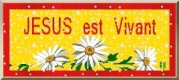 témoignage de For Mary : "  Les merveilles du chapelet " 3927998307